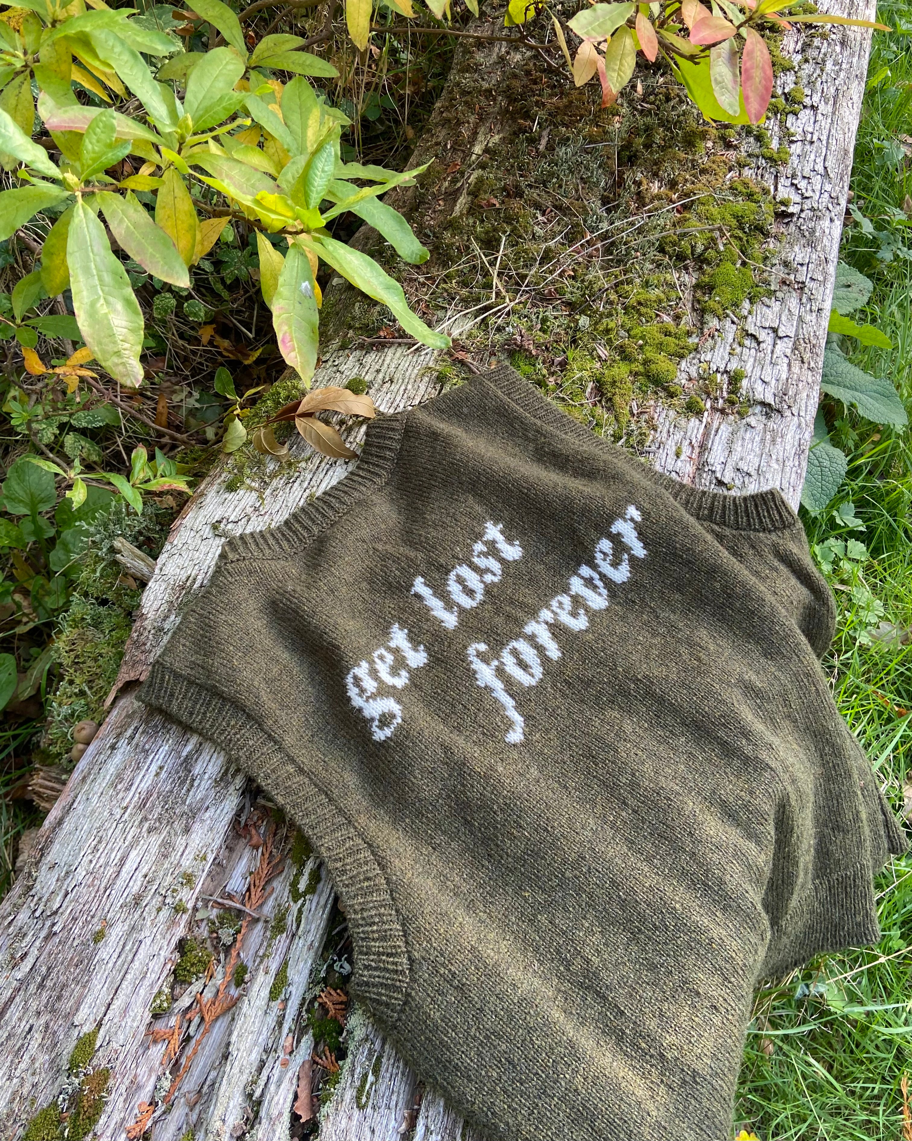 no. 5 — ‘get lost forever’