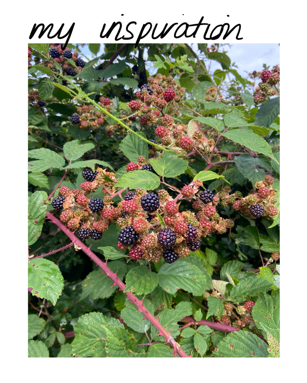 no. 4 — summer/autumn