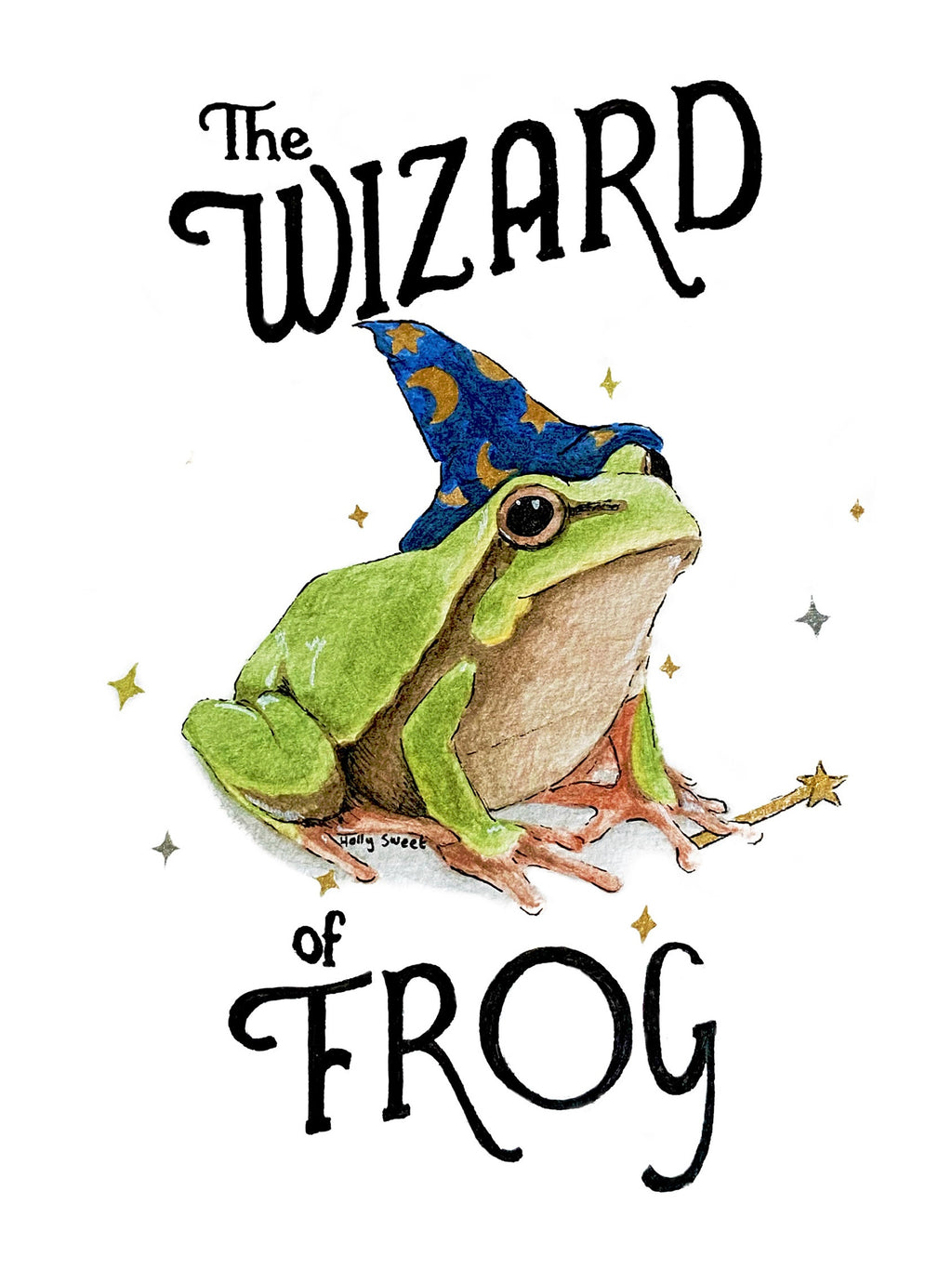 Wizard Frog vest