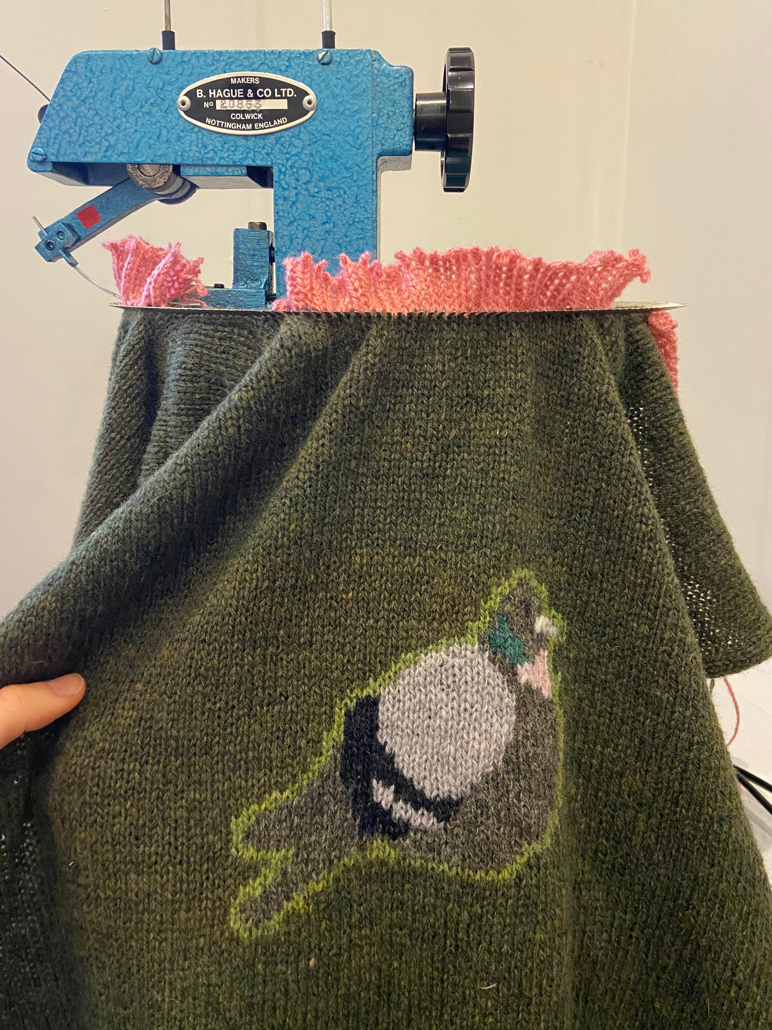Pigeon vest