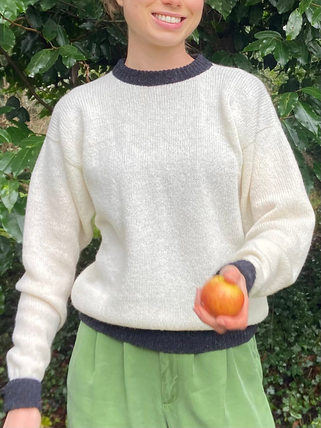 Sheep jumper