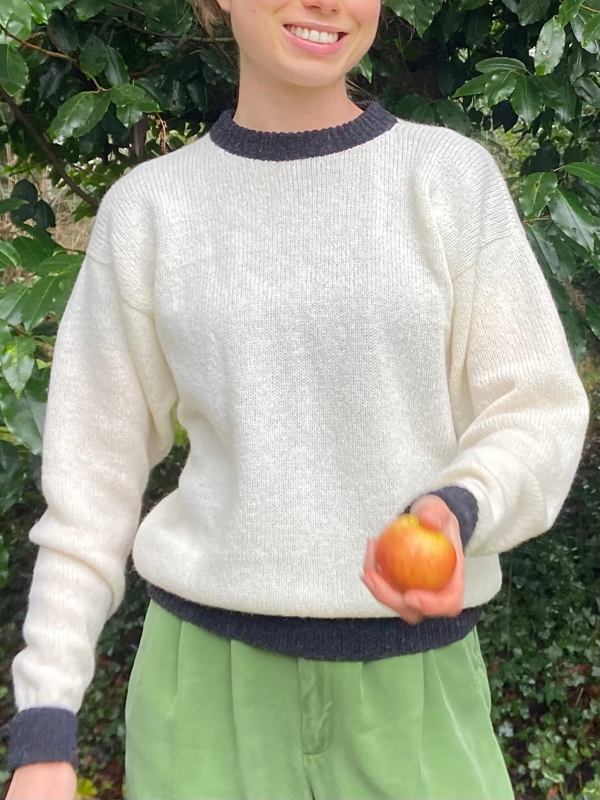 Sheep jumper