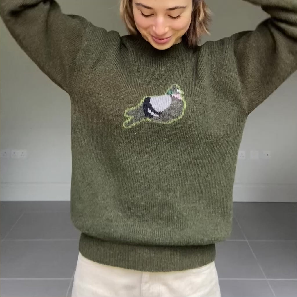 Pigeon jumper