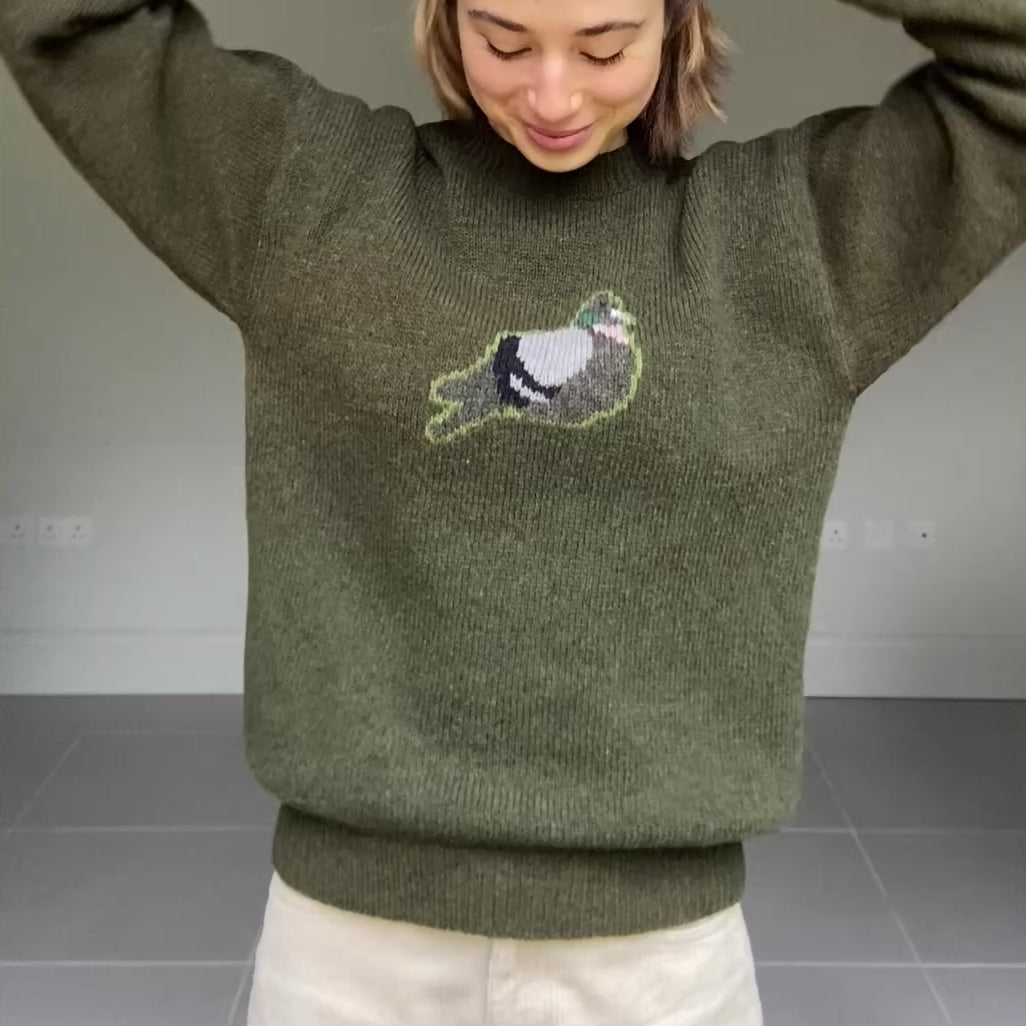Pigeon jumper